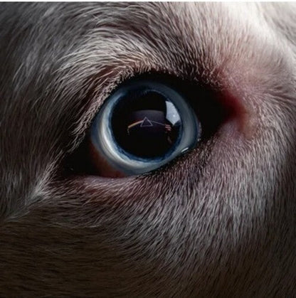 The Dark Side Of The Moon Redux (140 Gram Vinyl) (2 Lp's) | Mint (M) Mint (M)