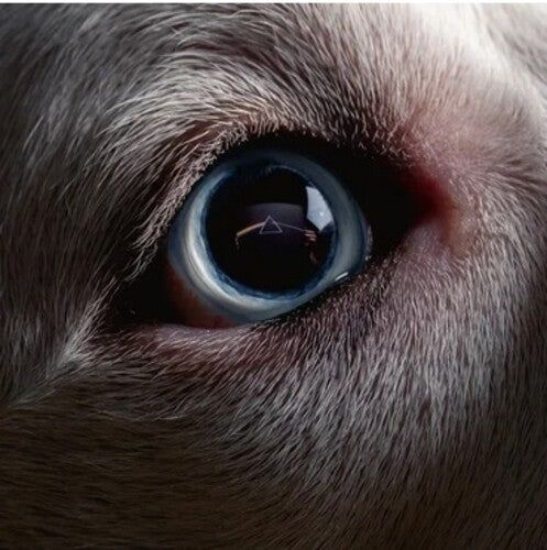 The Dark Side Of The Moon Redux (140 Gram Vinyl) (2 Lp's) | Mint (M) Mint (M)