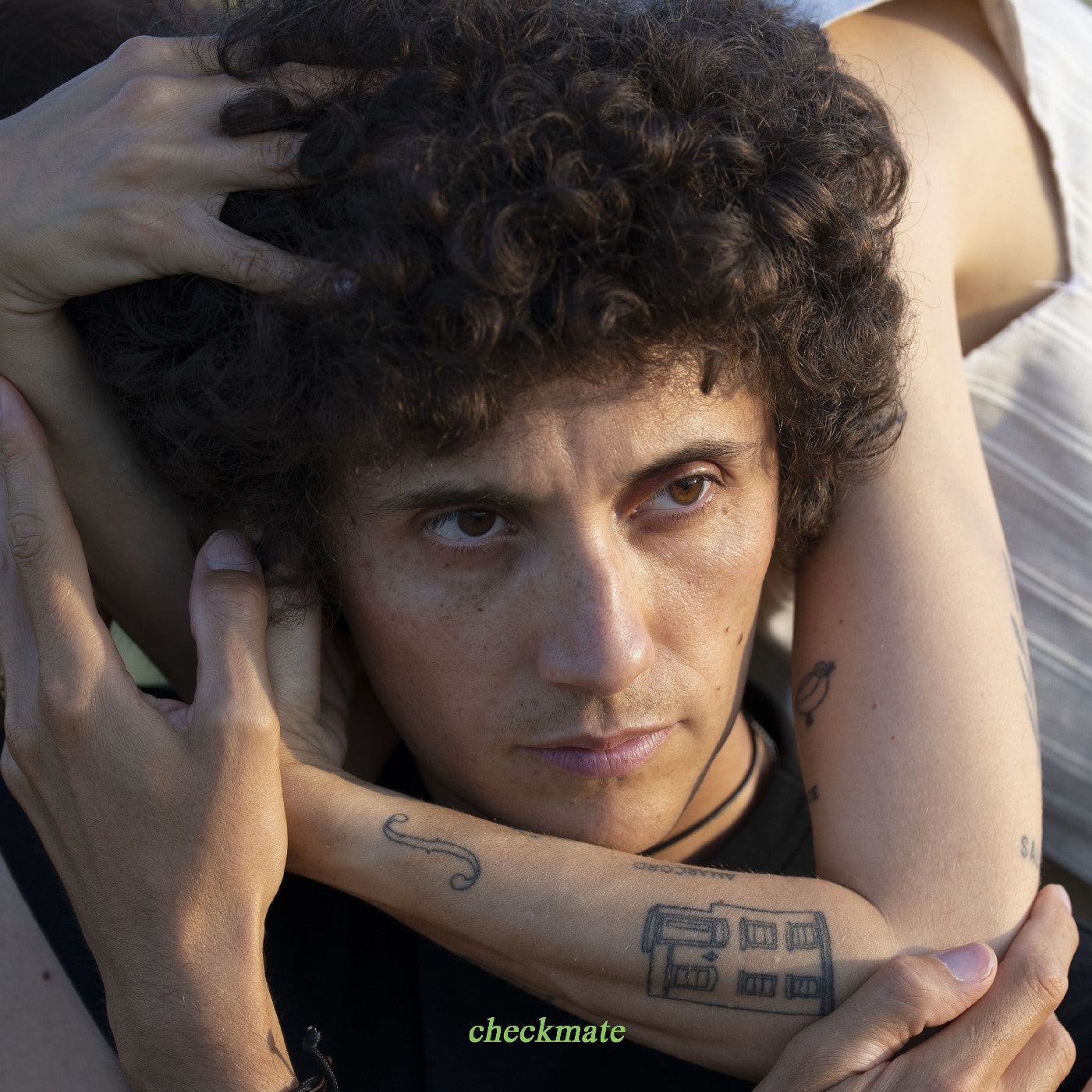 Ron Gallo - Checkmate (VINYL) | Mint (M) Mint (M)