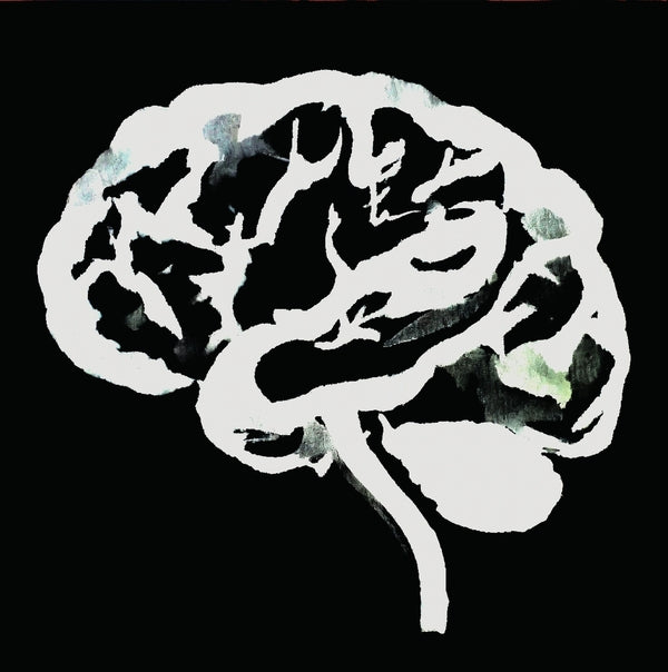 Brain Flakes (The Lost Combo Tapes) |