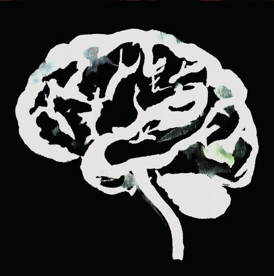 Brain Flakes (The Lost Combo Tapes) |