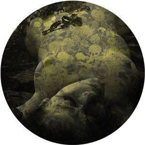 Yellobone - 12 | Mint (M) Mint (M)