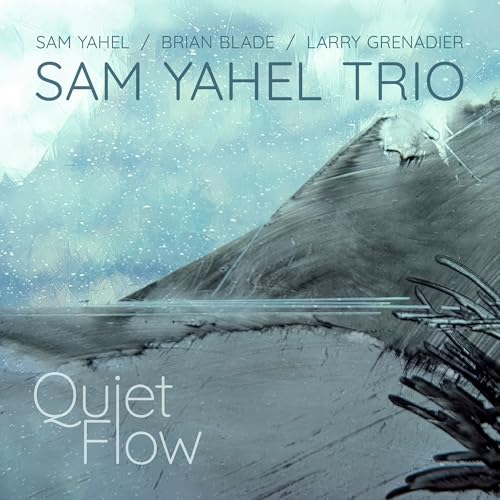 Sam Yahel - Quiet Flow |