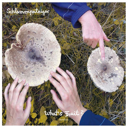 What's Fruit? Remixes |