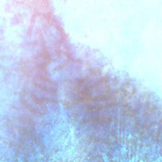 The Worm At The Core |