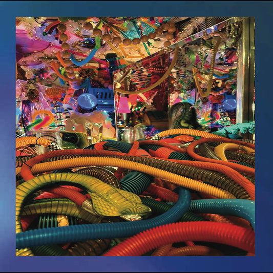 Sea Moss / Miscomings - (PRESALE 6/26/26) Big Tube Scene (VINYL) | Mint (M) Mint (M)