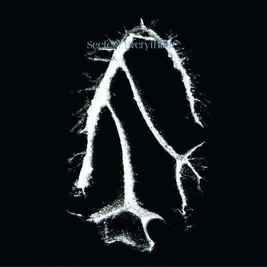 Everything Squared |