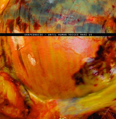 Until Human Voices Wake Us [Import] | Mint (M) Mint (M)