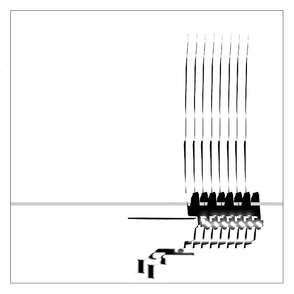 Cheveux Propres, Cheveux Gras |