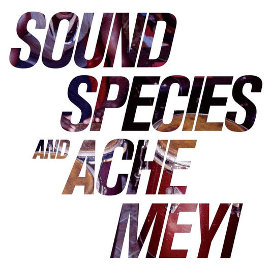 Soundspecies And Ache Meyi |