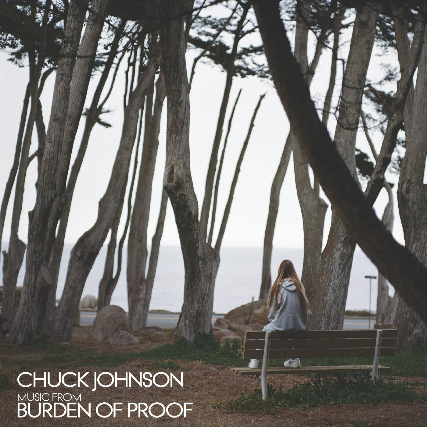 Johnson, Chuck - Burden Of Proof |