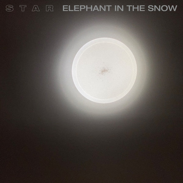 Elephant In The Snow |