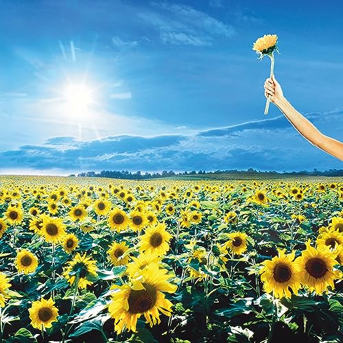 Thank You (ETCHED) | Mint (M) Mint (M)