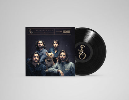 TOOGOODOO (VINYL) | Mint (M) Mint (M)