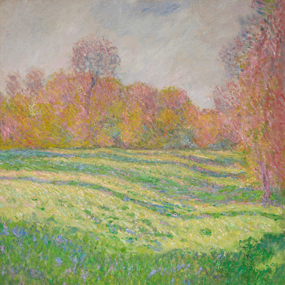 Sun Outside My Window | Mint (M) Mint (M)