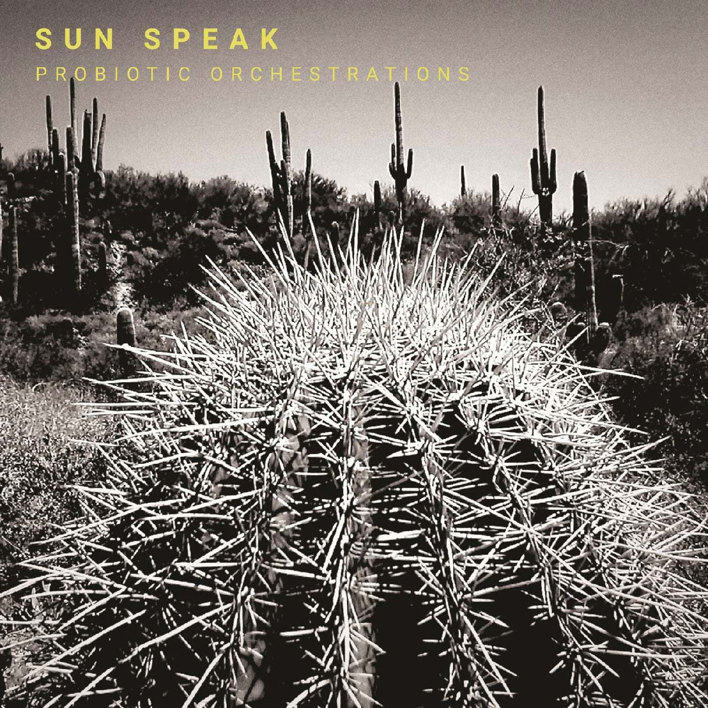 Sun Speak - Probiotic Orchestrations (VINYL) | Mint (M) Mint (M)
