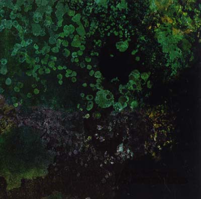 Breed in Me the Darkness |