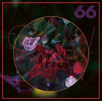 TRUElipS | Mint (M) Mint (M)