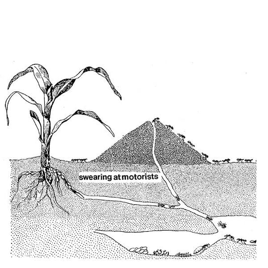 Swearing At Motorists |