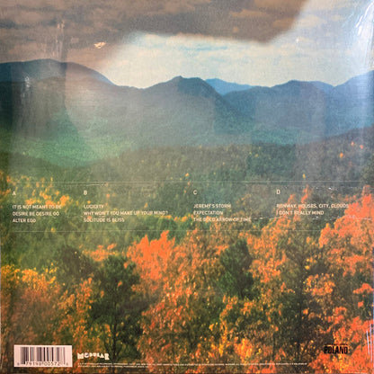 Innerspeaker | Mint (M) Mint (M)