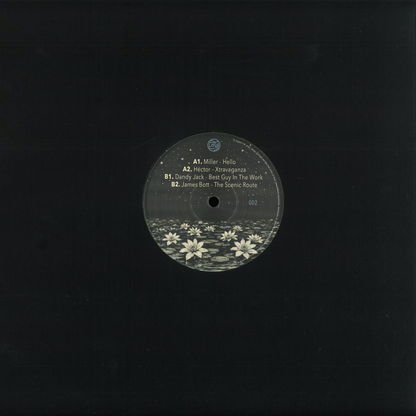 Various - (PRESALE) Losh Label 002 (VINYL) | Mint (M) Mint (M)