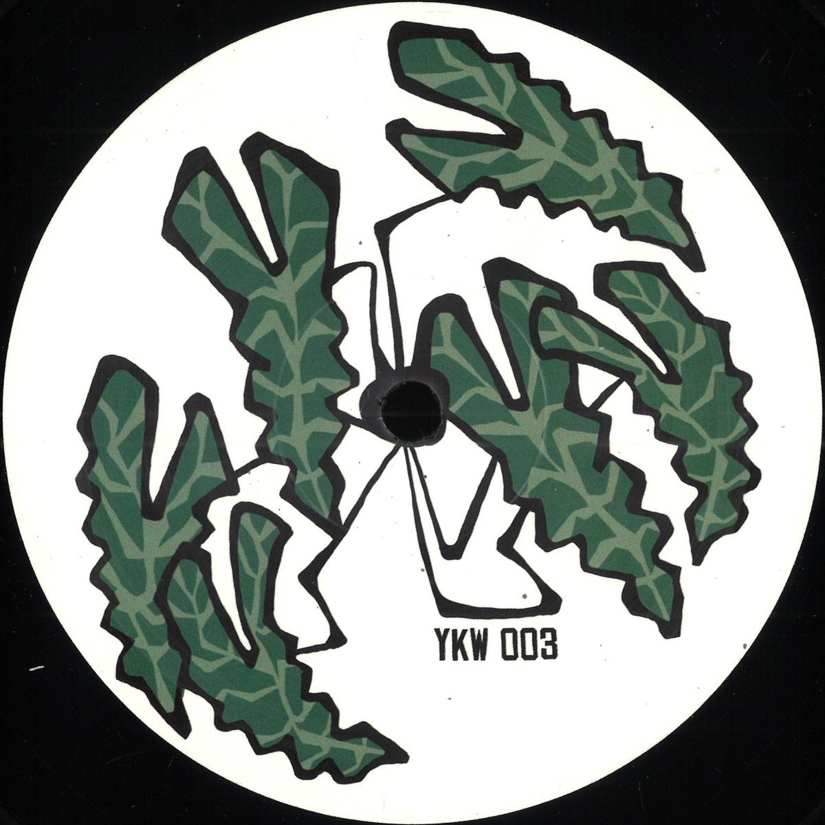 David Delgado - EZ PC EP (VINYL 12") | Mint (M) Mint (M)