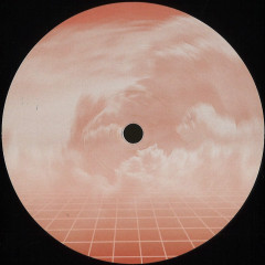 Len Lewis - (PRESALE TBD) Critical Mass EP (VINYL) | Mint (M) Mint (M)