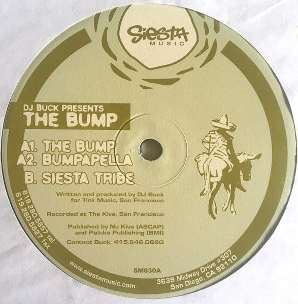DJ Buck - The Bump (12" VINYL) | Very Good Plus (VG+) Generic