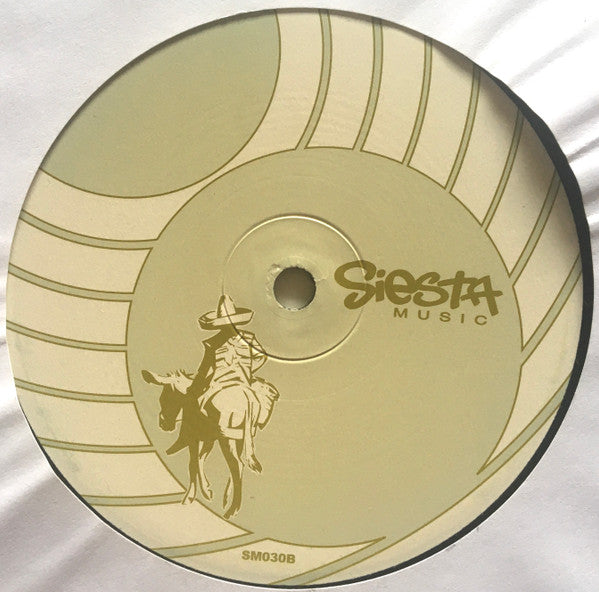 DJ Buck - The Bump (12" VINYL) | Very Good Plus (VG+) Generic