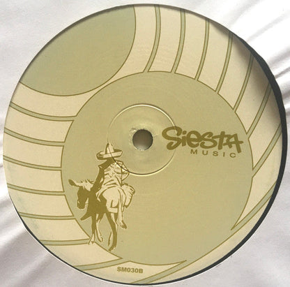 DJ Buck - The Bump (12" VINYL) | Very Good Plus (VG+) Generic