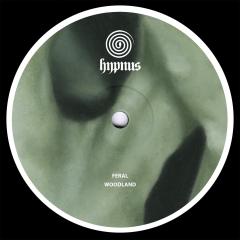 Feral - Woodland (VINYL 12") | Mint (M) Mint (M)