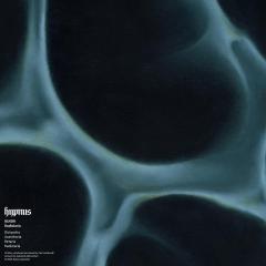BLNDR - Radiolaria (VINYL 12") | Mint (M) Mint (M)