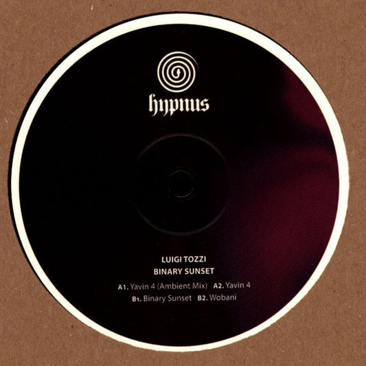 Luigi Tozzi - Binary Sunset (VINYL) | Mint (M) Mint (M)
