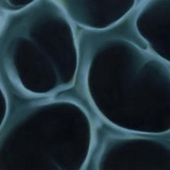 BLNDR - Radiolaria (VINYL 12") | Mint (M) Mint (M)
