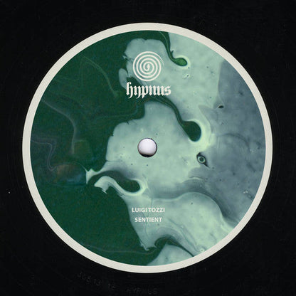Sentient (VINYL 12") | Mint (M) Mint (M)
