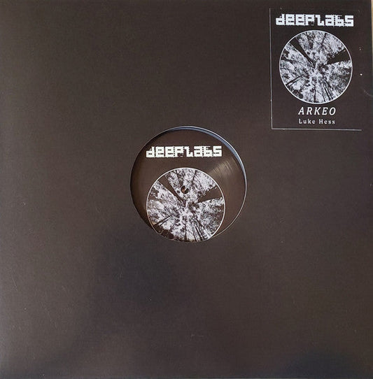 Luke Hess - Arkeo (2xGRAY MARBLED VINYL) | Mint (M) Mint (M)