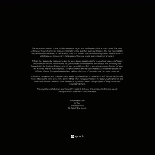 R.Hz - Hybrid Dub (WHITE VINYL) | Mint (M) Mint (M)