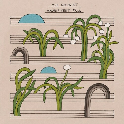Magnificent Fall (2xVINYL) |