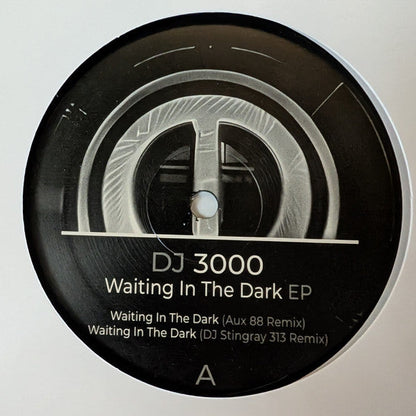 DJ 3000 - Waiting In The Dark EP (12" VINYL) | Mint (M) Mint (M)
