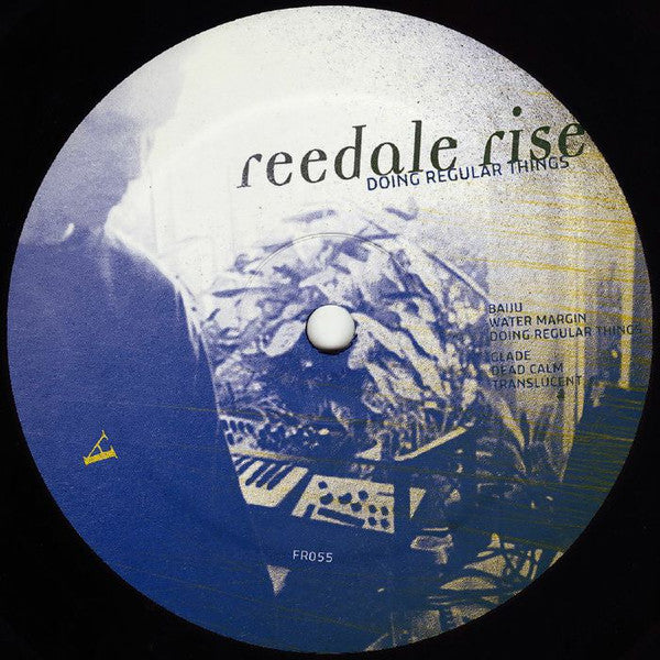 Doing Regular Things (PINK VINYL) |