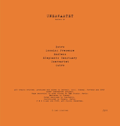 Unerwartet - Endless EP (VINYL) | Mint (M) Mint (M)