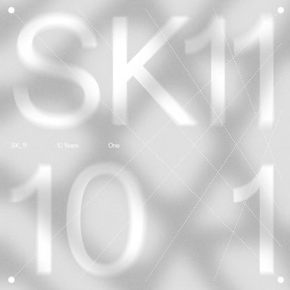 (PRE-ORDER 11/7/25) SK11X 10Y (3x12" Vinyl) | Mint (M) Mint (M)