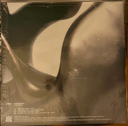 Various - Coalescence (VINYL 12") |