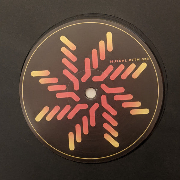 Night Echoes (VINYL) |