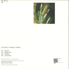 Artefakt & Maayan Nidam - Collaborations II (VINYL 12") | Mint (M) Mint (M)