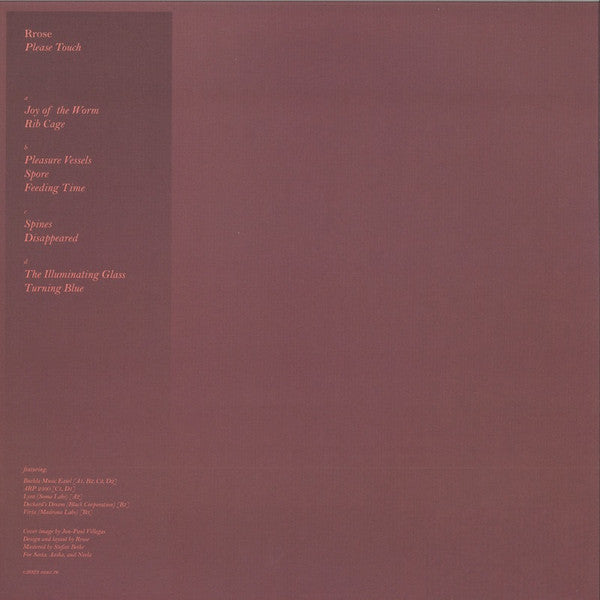 Rrose - Please Touch (12") | Near Mint (NM) Near Mint (NM)