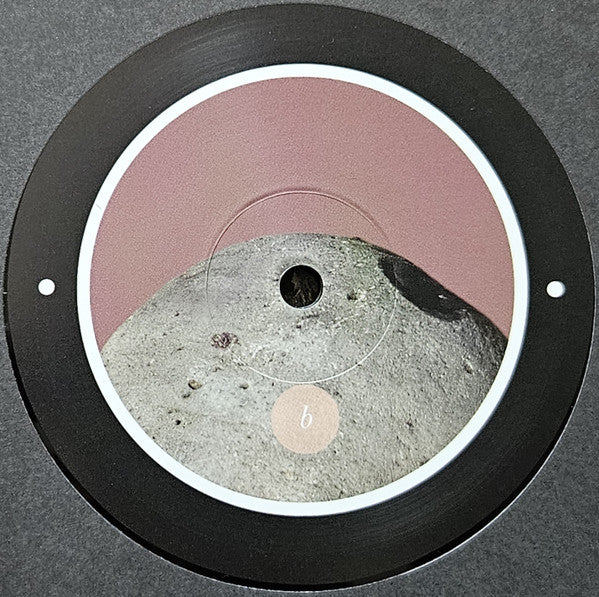 Rrose - Please Touch (12") | Near Mint (NM) Near Mint (NM)