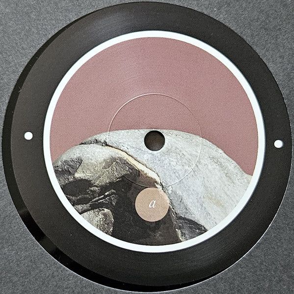 Rrose - Please Touch (12") | Near Mint (NM) Generic