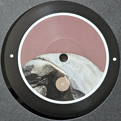 Rrose - Please Touch (12") | Near Mint (NM) Near Mint (NM)