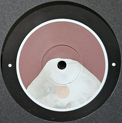 Rrose - Please Touch (12") | Near Mint (NM) Near Mint (NM)